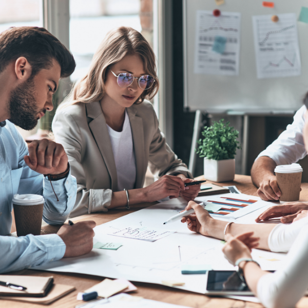 Société de développement économique - SDE