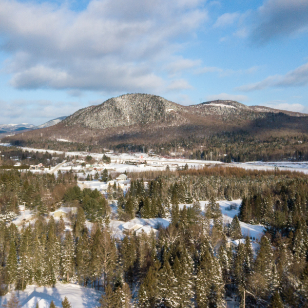 Parc de la forêt ancienne du Mont Wright