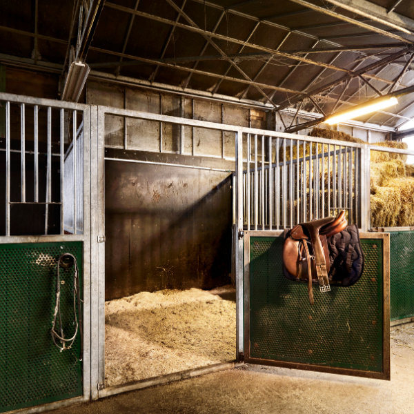 Construction - Bâtiment accessoire