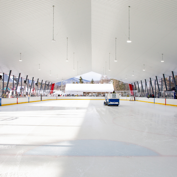 Patinoires et sports de glace en aréna