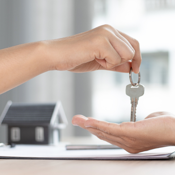 Hébergement touristique